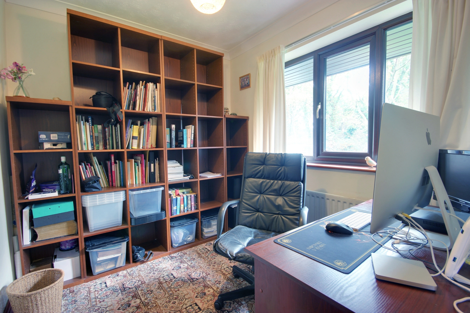 Photo 12