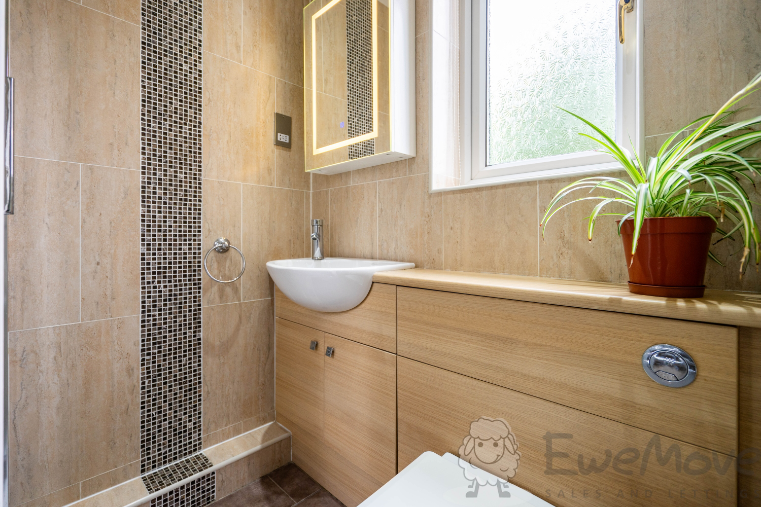 Ensuite Shower Room