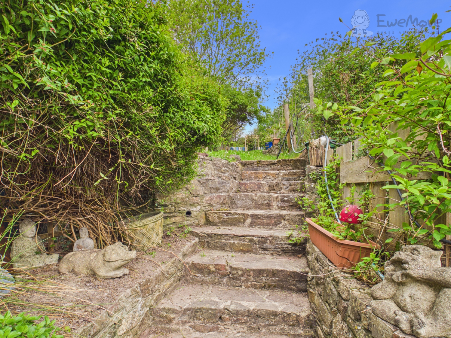 High Street Bampton, Tiverton, Devon, EX16, photo 15