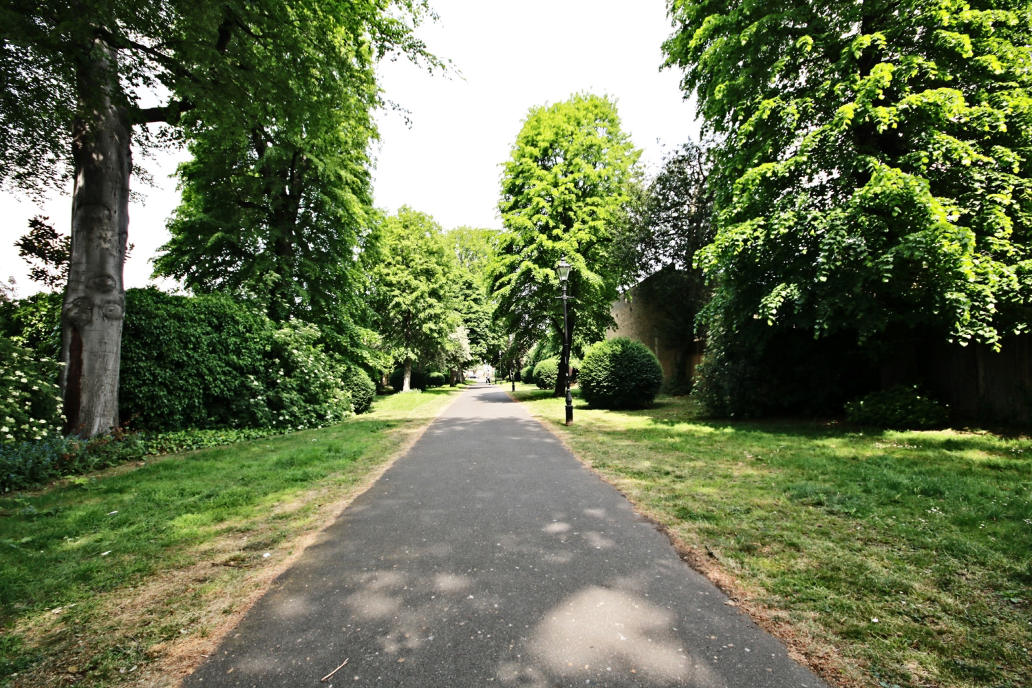 Lower Richmond Road, London SW15 1LU, photo 5
