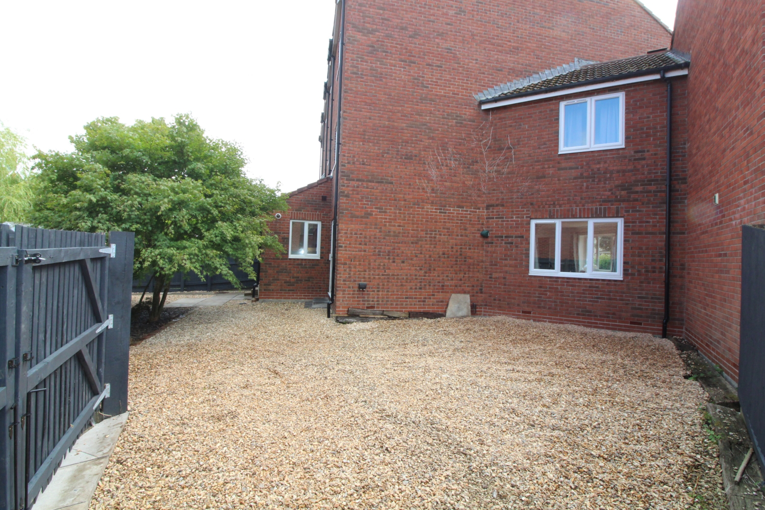 IMG_5175