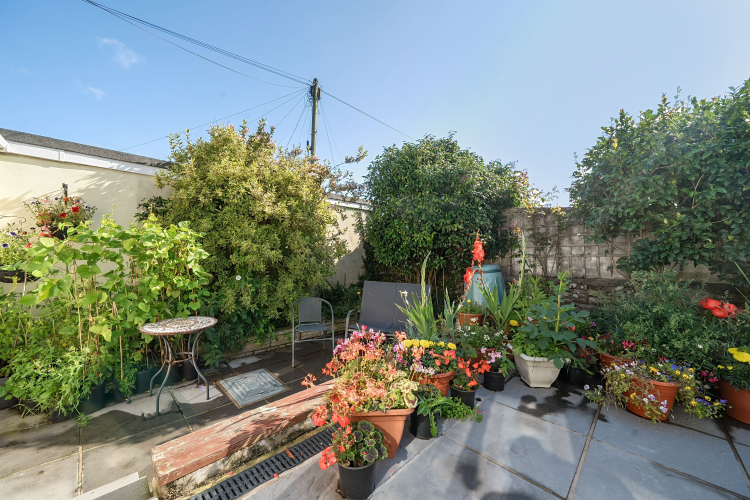 Ashley Terrace, Bideford, Devon, EX39, photo 17