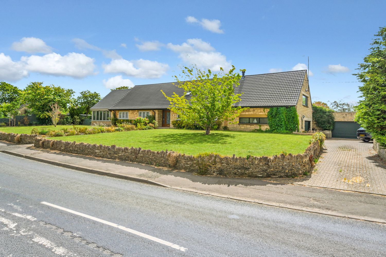 DSC_2521