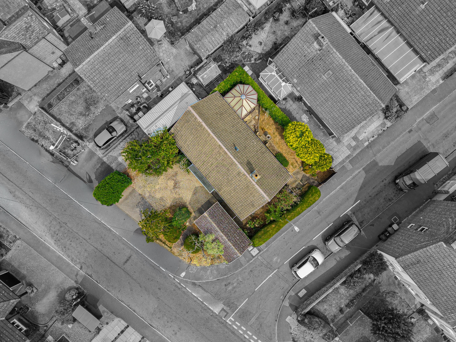 Plot View