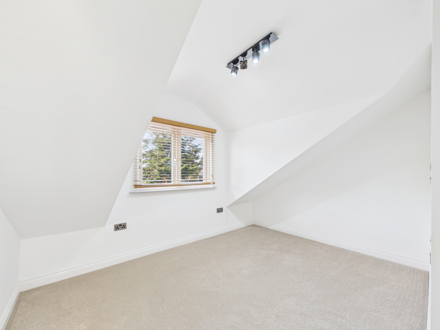 Collington Street, Beeston, Nottingham, Nottinghamshire, NG9, photo 12