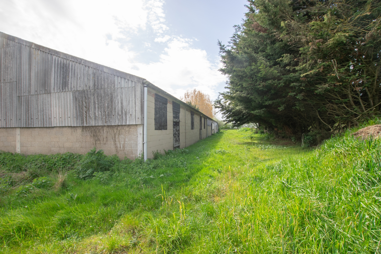 Barrow Hall Farmhouse, Barrow Hall Road, Little Wakering, Southend-on-Sea, Essex, SS3 0QP, photo 27