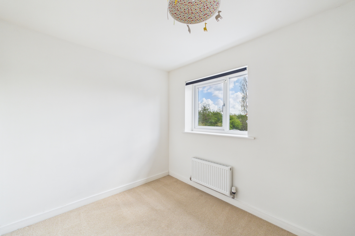 Turner Close, York, North Yorkshire, YO31 9FD, photo 13