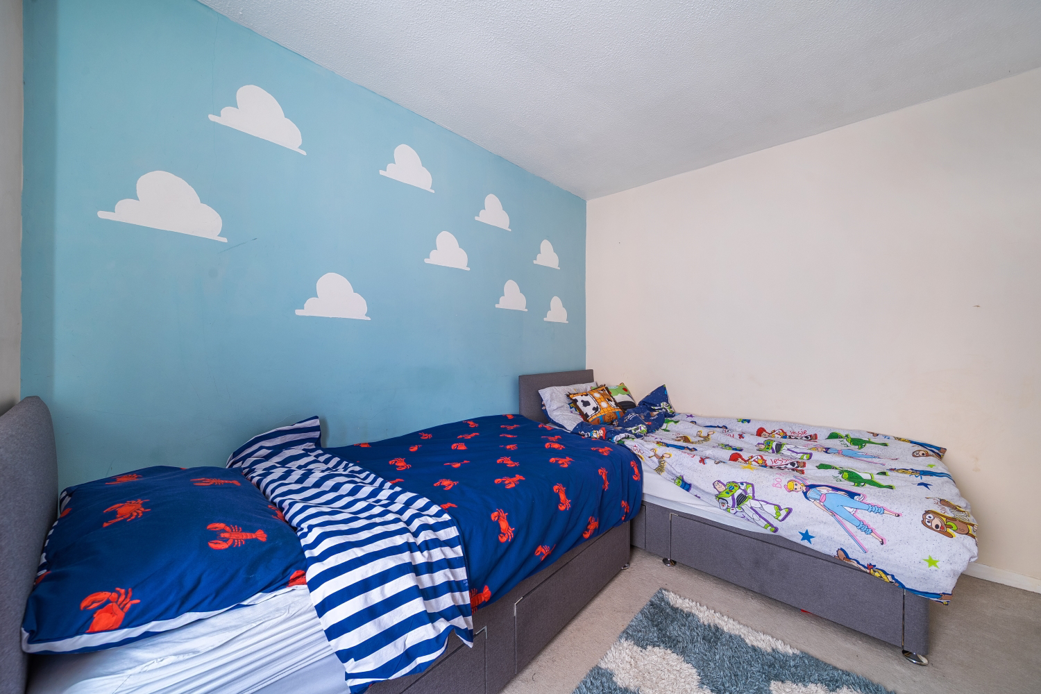 Litchdon Street, Barnstaple, Devon, EX32, photo 15