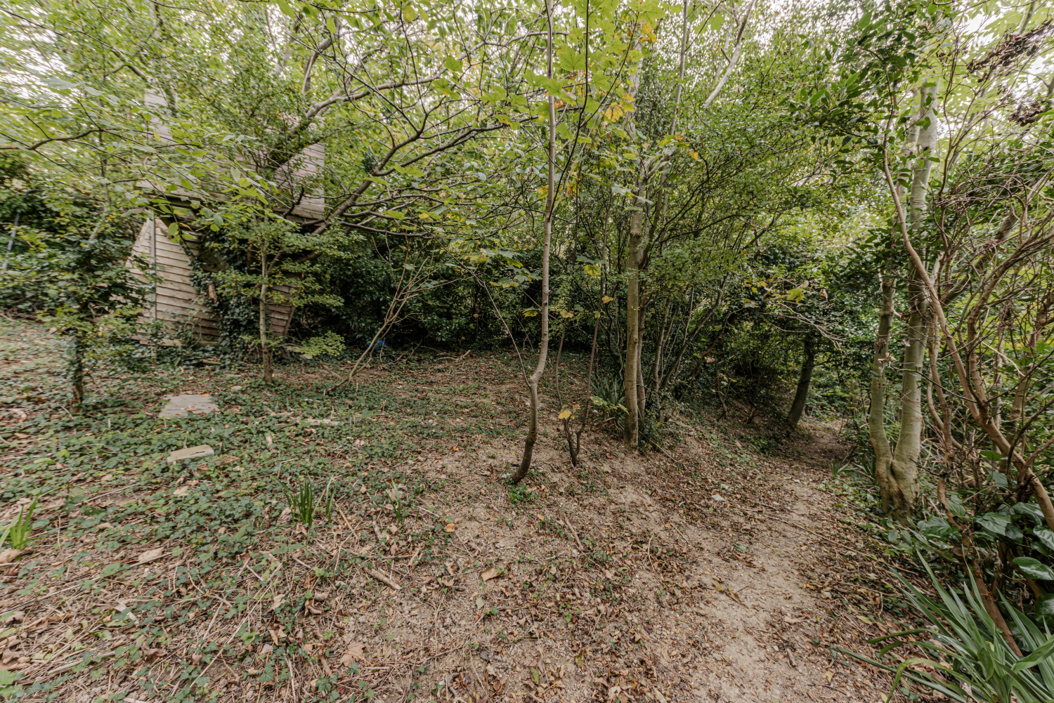 Dover Road, Folkestone, CT19, photo 31