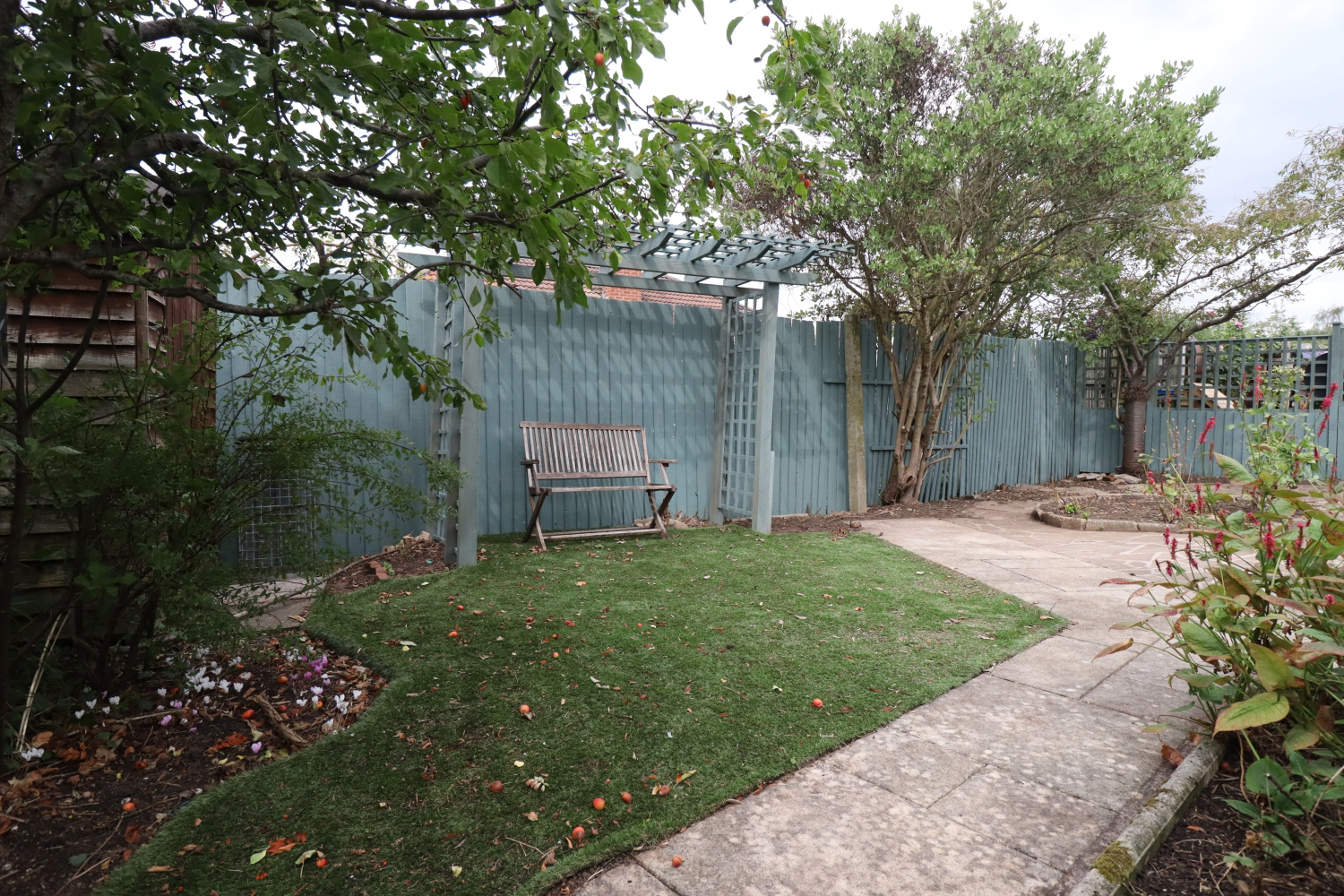 Photo 15