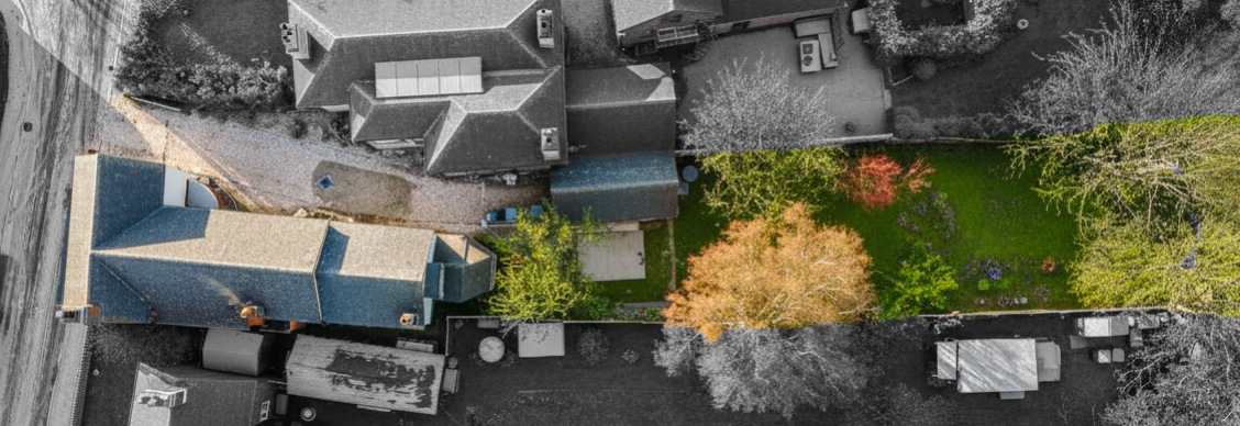 Plot View