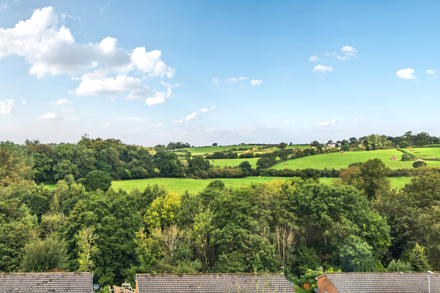 Broadgate Close, Barnstaple, Devon, EX31, photo 21