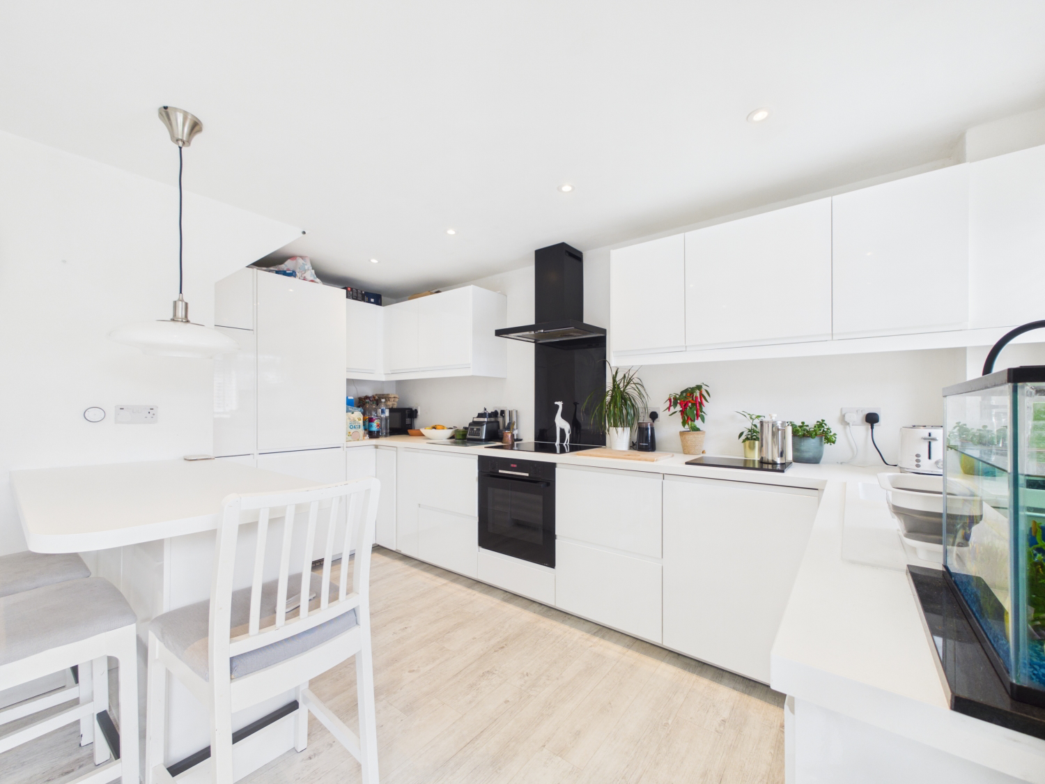 Morris Avenue, Beeston, Nottingham, Nottinghamshire, NG9, photo 4