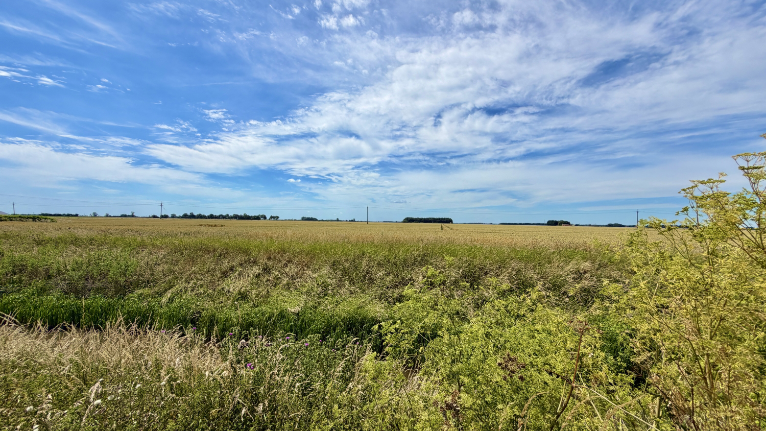 Pelhams Lands, Lincoln, Lincolnshire, LN4, photo 4