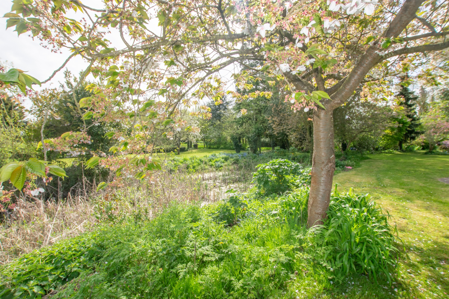 Period Farmhouse, Barrow Hall Road, Little Wakering, Southend-on-Sea, Essex, SS3 0QP, photo 15