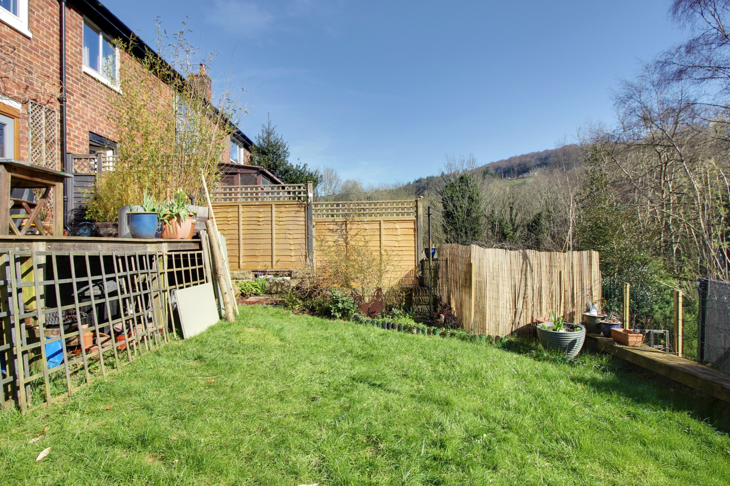 Back Garden