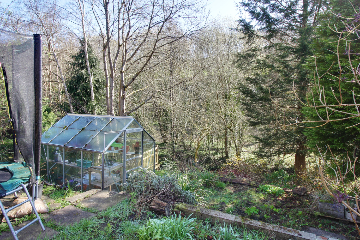 Back Garden