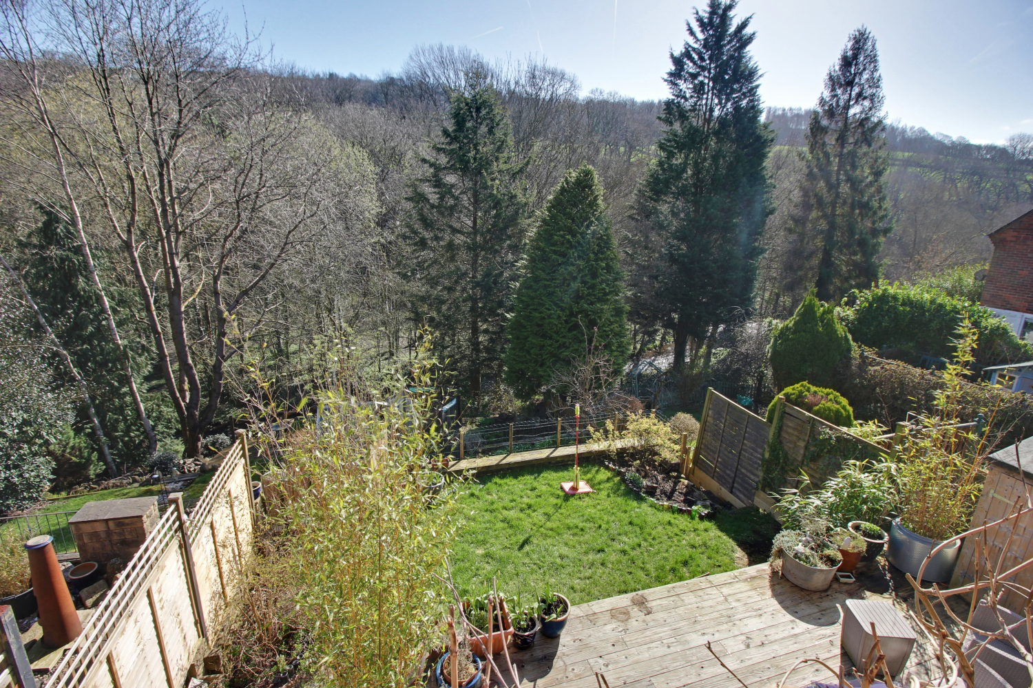 Back Garden