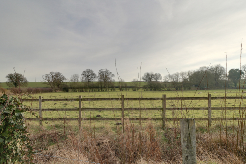 Countryside Views