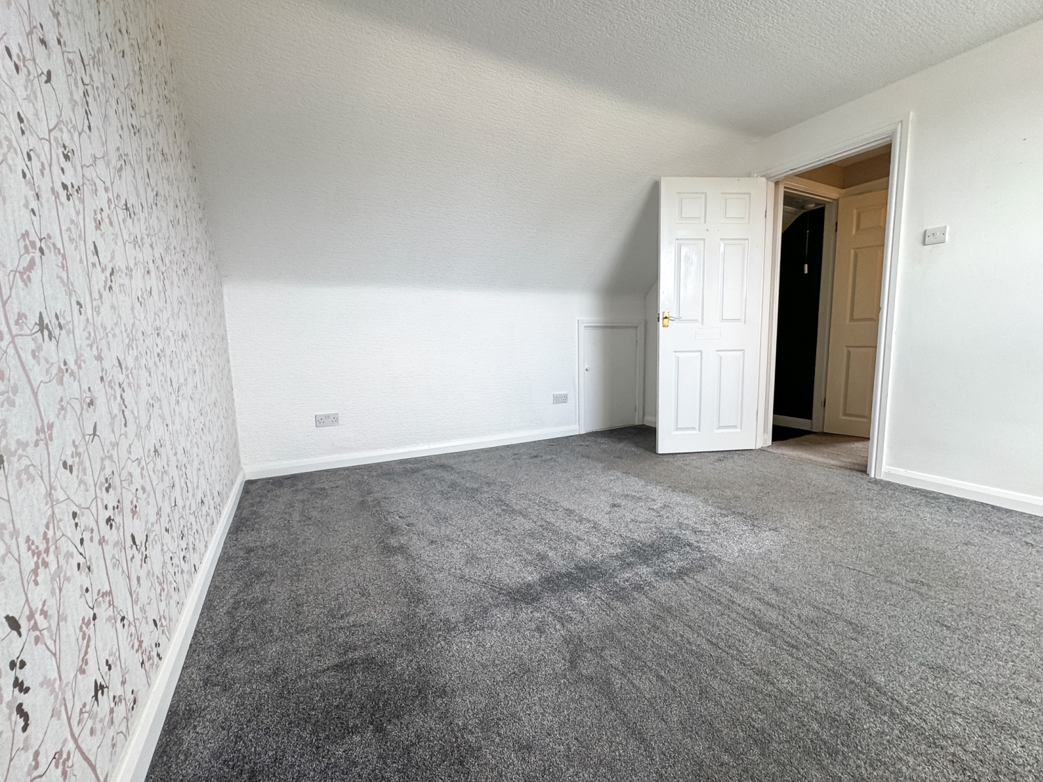 Ludlow EweMove Redcar-1