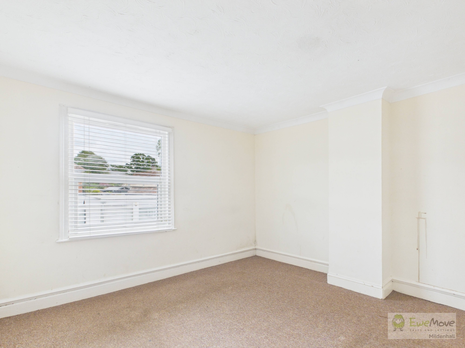 High Street, Lakenheath, photo 15