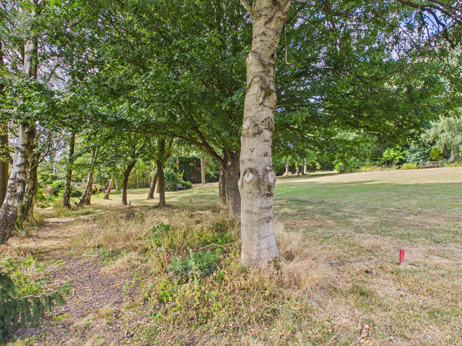 Moorgreen, Newthorpe, Nottingham, Nottinghamshire, NG16, photo 35