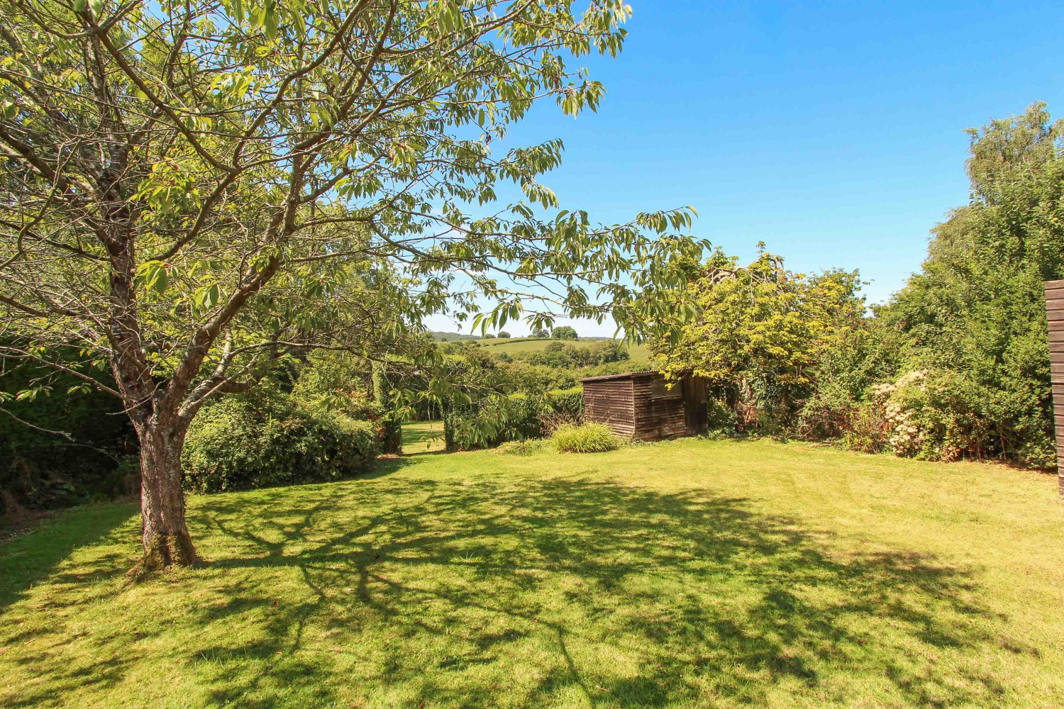 Broadshard, Crewkerne, photo 9