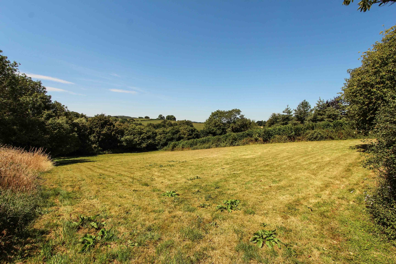 Broadshard, Crewkerne, photo 31