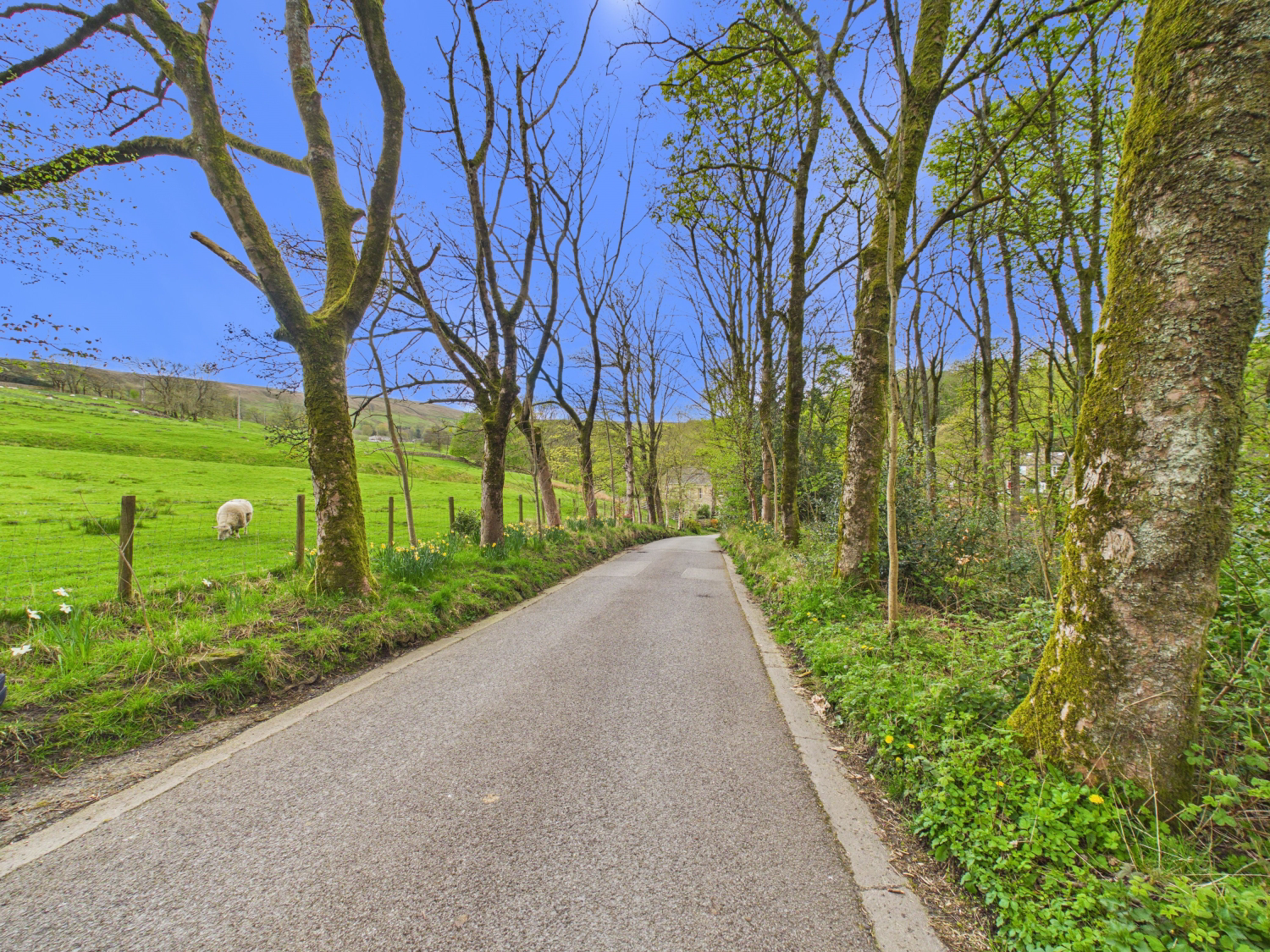 Sunnybank Cottages, Helmshore, Rossendale, Lancashire, BB4, photo 2