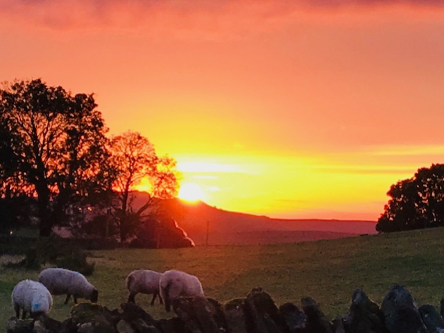 The Old Farmhouse, Saughy Rigg, Northumberland. NE49 9PT., photo 26