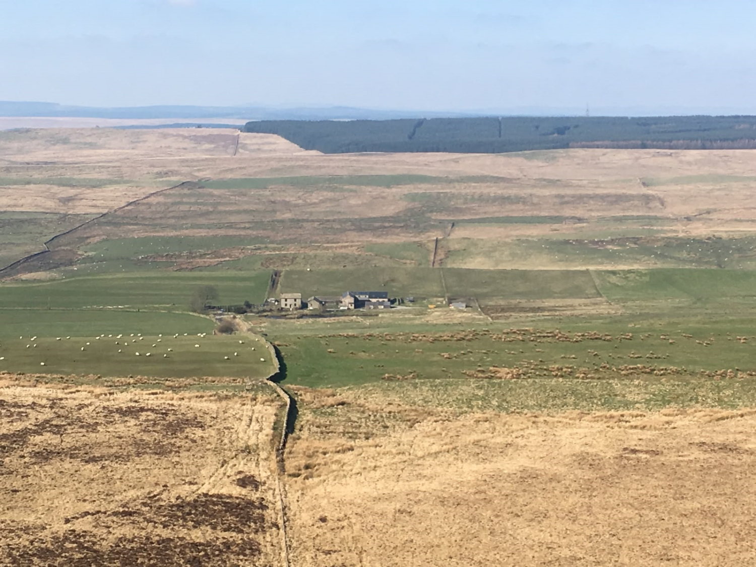 The Old Farmhouse, Saughy Rigg, Northumberland. NE49 9PT., photo 43