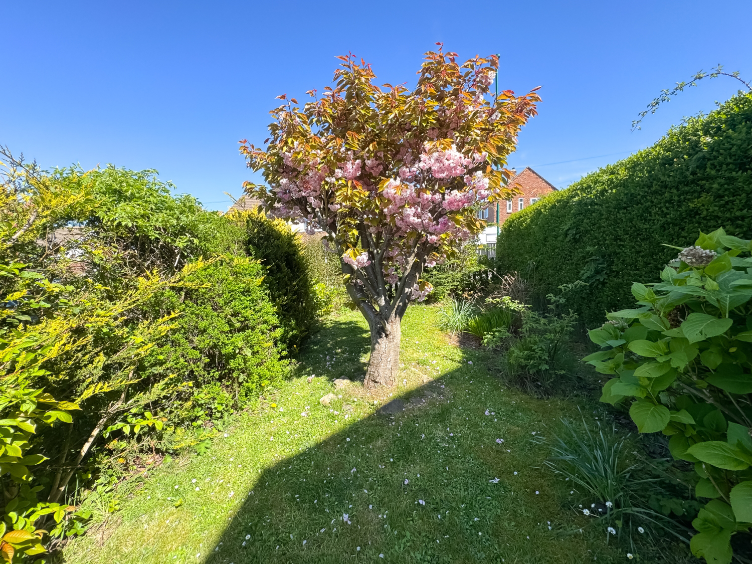 Woodrow Avenue, Saltburn-by-the-Sea, TS12 1NN, photo 21