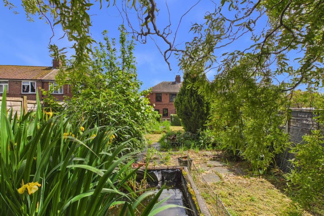 A small pond located in this stunning garden
