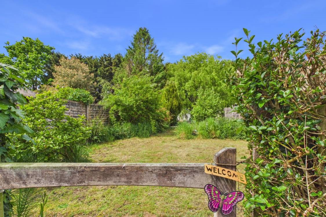 Beautiful garden with mature trees and shrubs