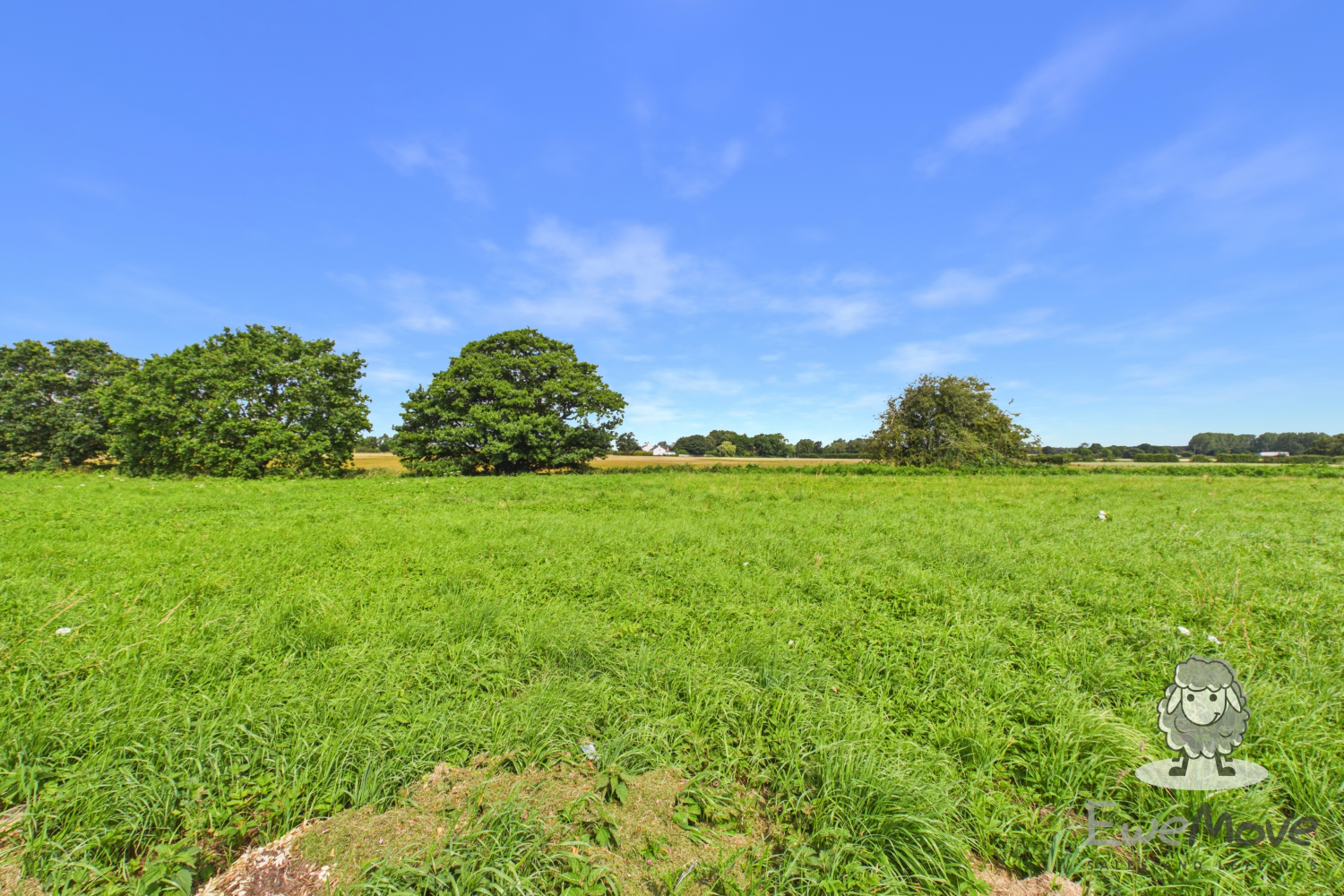 Ecclesfield Road, Eccleston, St. Helens, Merseyside, WA10, photo 14