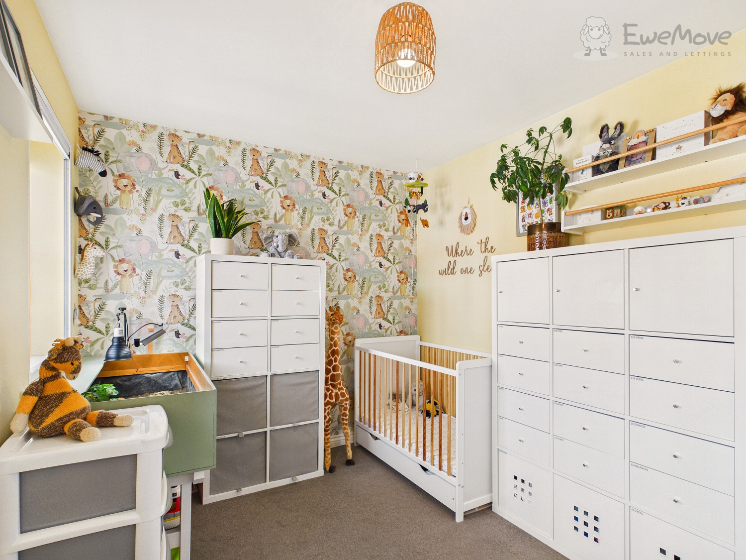 Ash Drive, South Molton, Devon, EX36, photo 10
