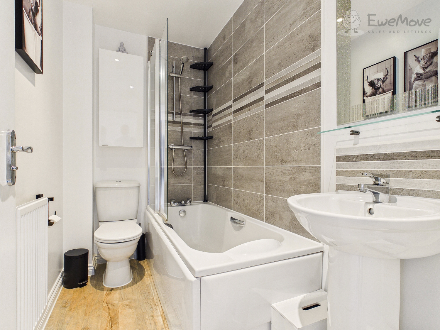 Ash Drive, South Molton, Devon, EX36, photo 13