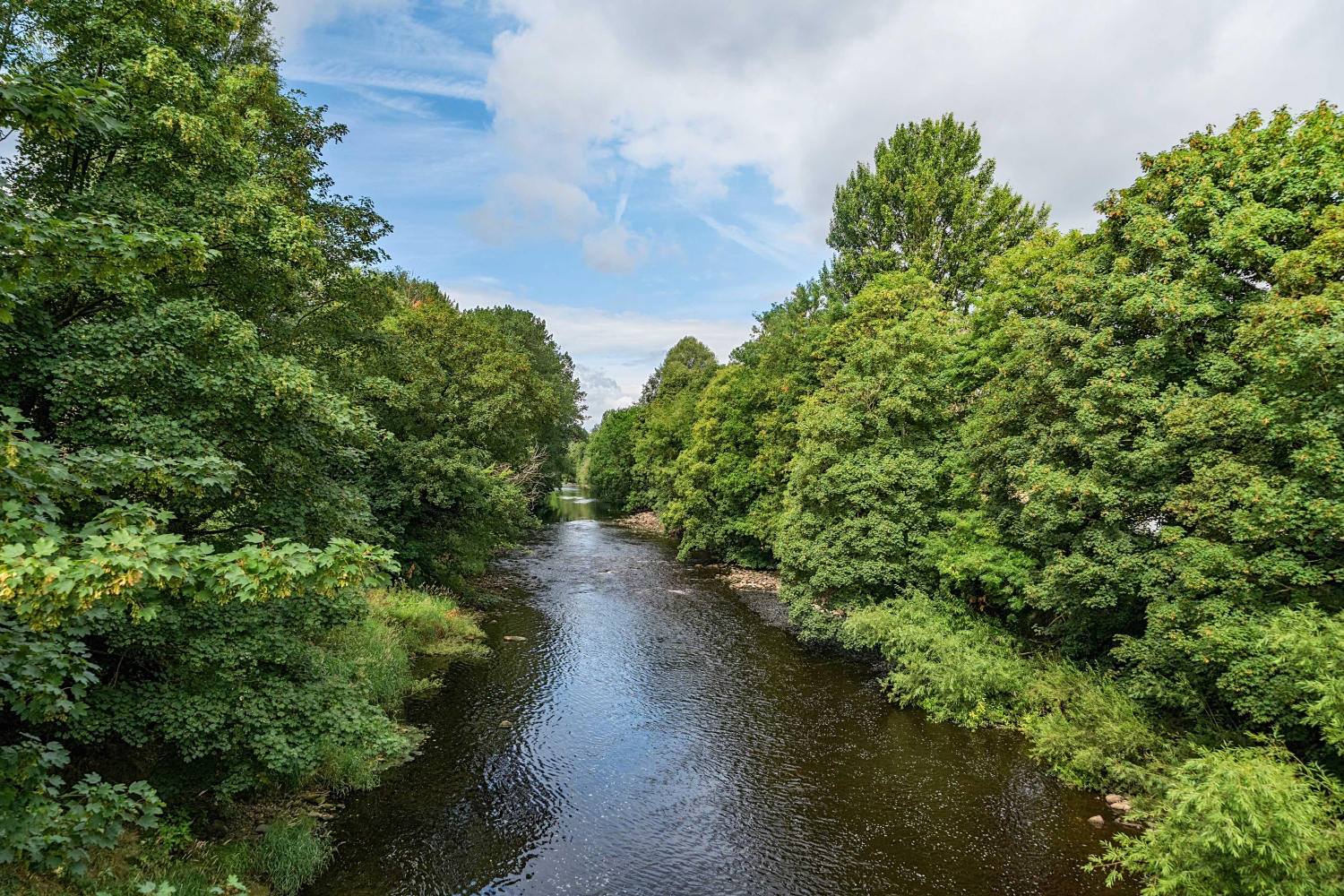 19 Riverside Walk, Otley, photo 5