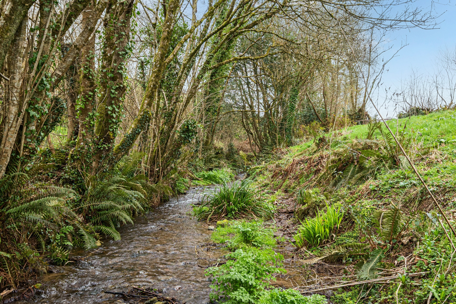 Lower Loxhore, Barnstaple, North Devon, EX31, photo 16