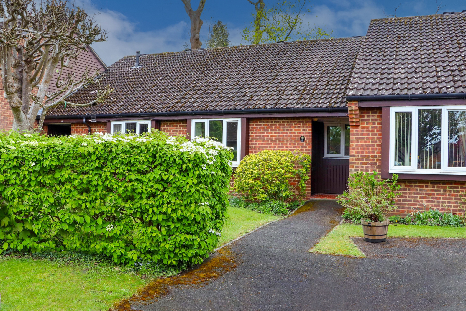 48 Darfield Road, Guildford, photo 2