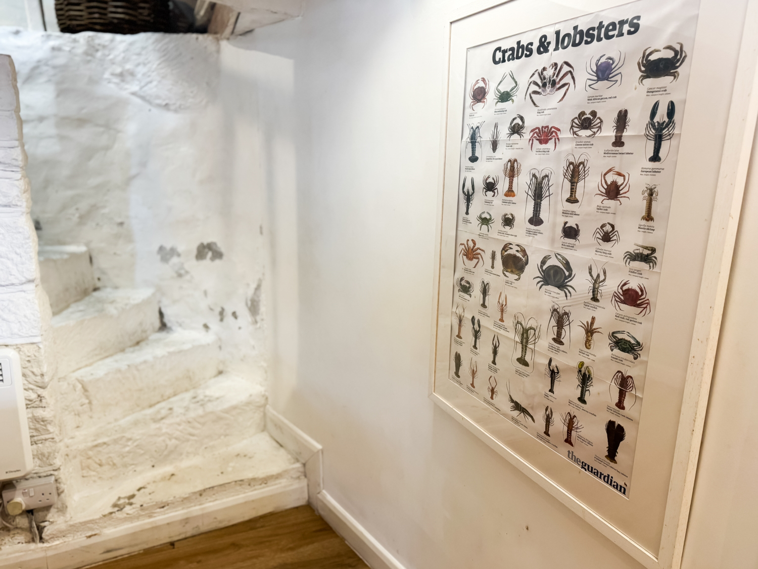 The Curious Crab, Barras Square, Staithes, Saltburn-by-the-Sea, TS13 5DF, photo 12