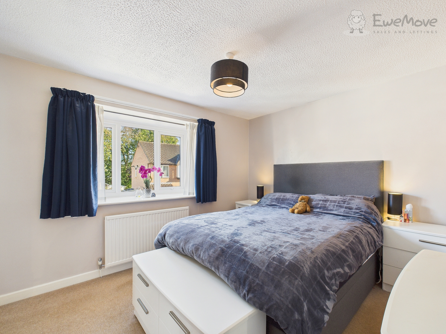 Beech Close, Willand, Cullompton, Devon, EX15, photo 5