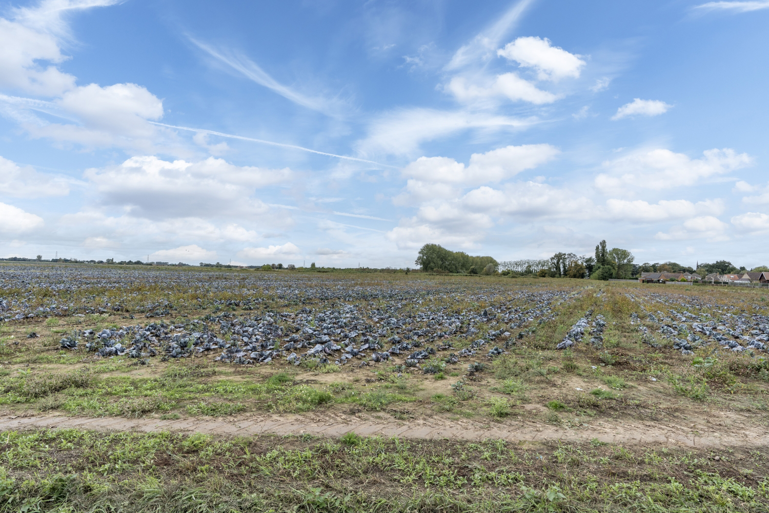 Branches Lane, Holbeach, Spalding, Lincolnshire, PE12, photo 15
