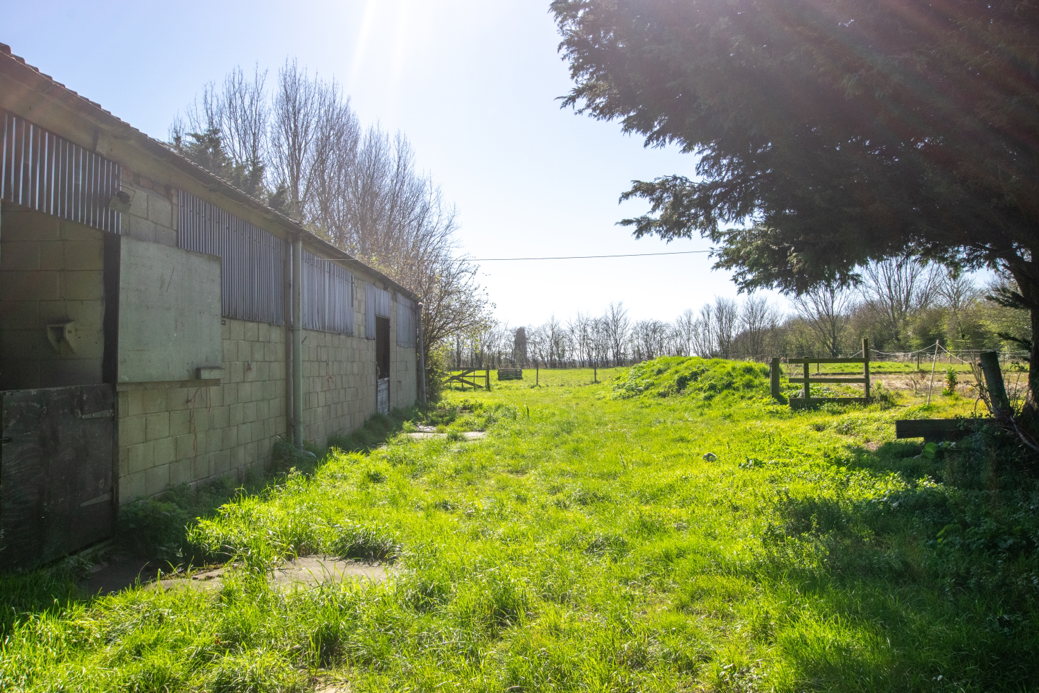 Barrow Hall Farmhouse, Barrow Hall Road, Little Wakering, Southend on Sea, Essex, SS3 0QS, photo 33