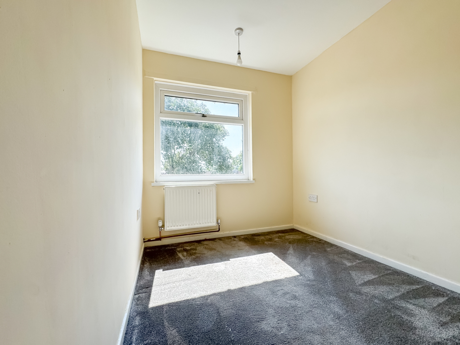 Darnton EweMove Middlesbrough-2