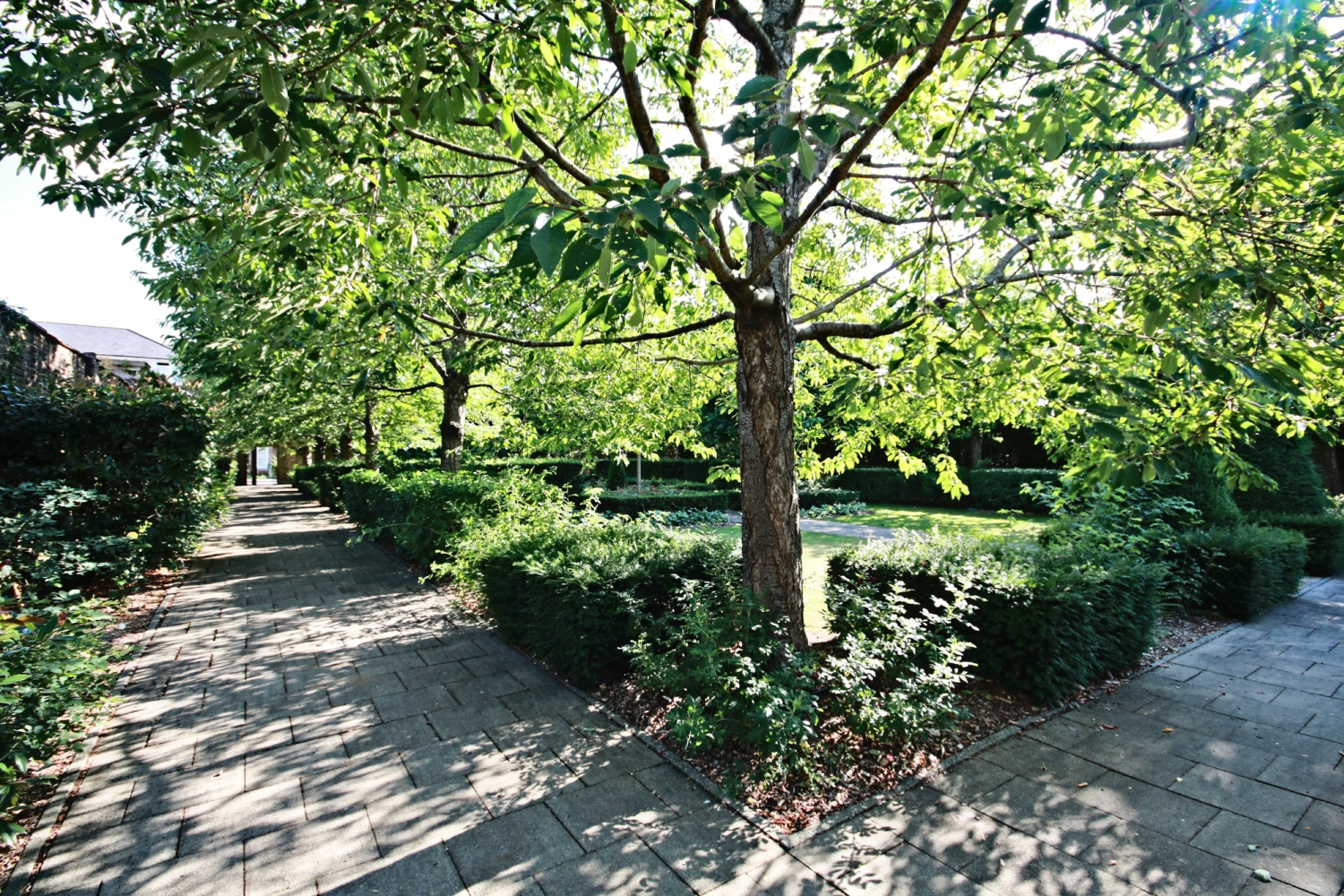 Photo 30