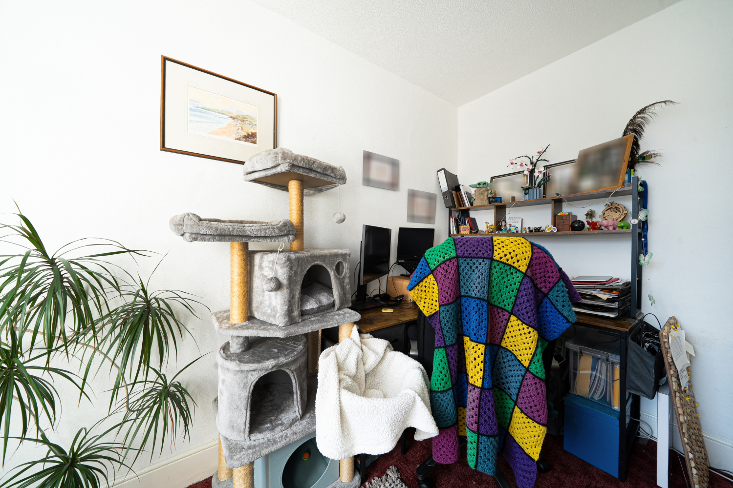 Photo 14