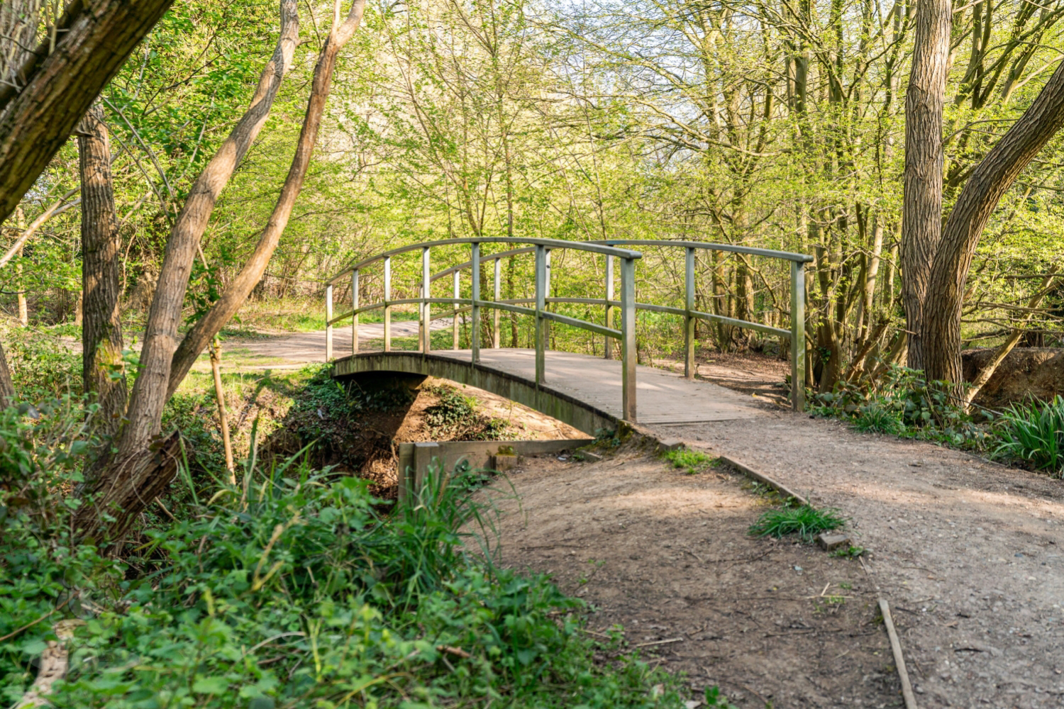 Queens Avenue, Welwyn Garden City, Hertfordshire, AL7, photo 31
