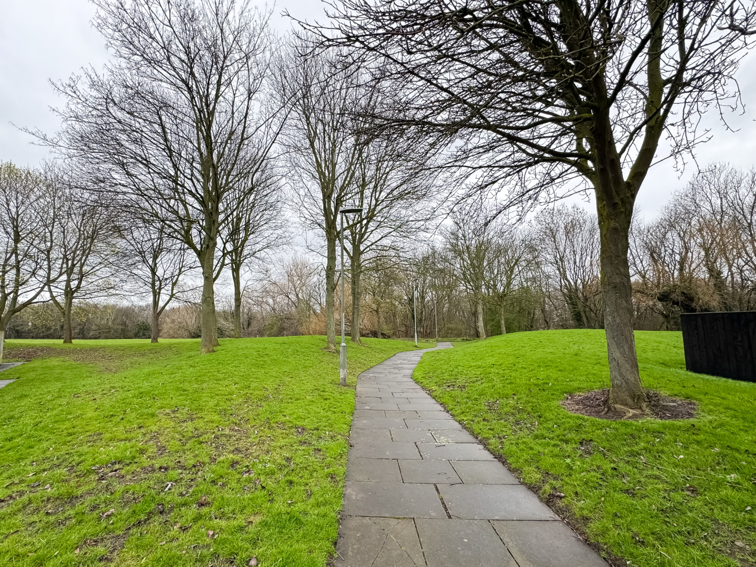 Woodford Walk Thornaby, Stockton-on-Tees, TS17 0LT, photo 19