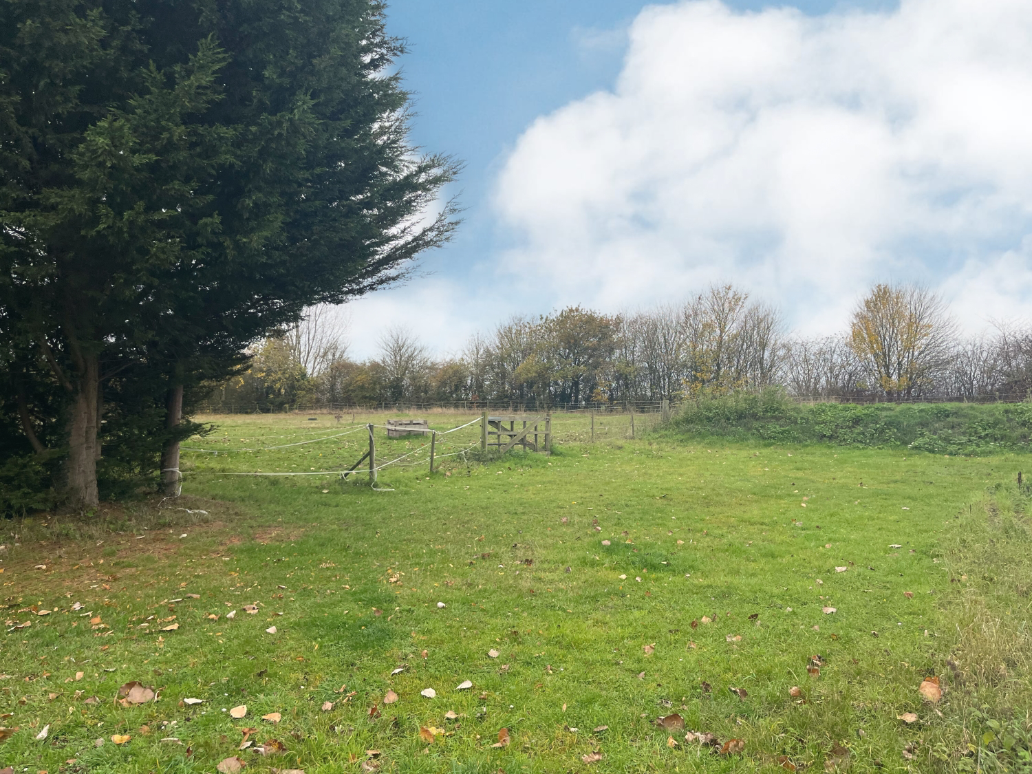 Barrow Hall Road, Little Wakering, Southend on Sea, Essex, SS3 0QS, photo 35